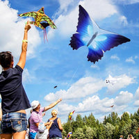 Thumbnail for 30m Blue Butterfly Flying Kite